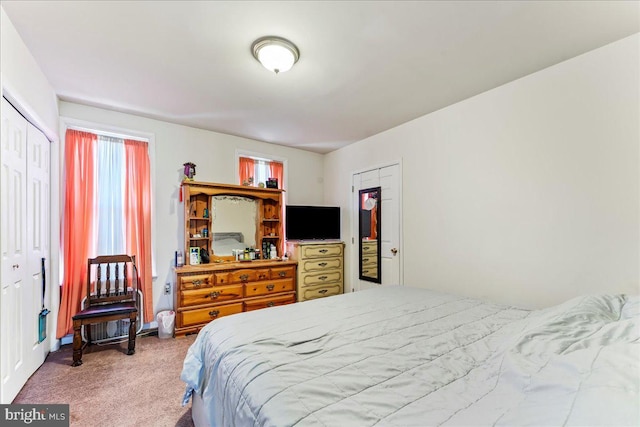 carpeted bedroom featuring a closet