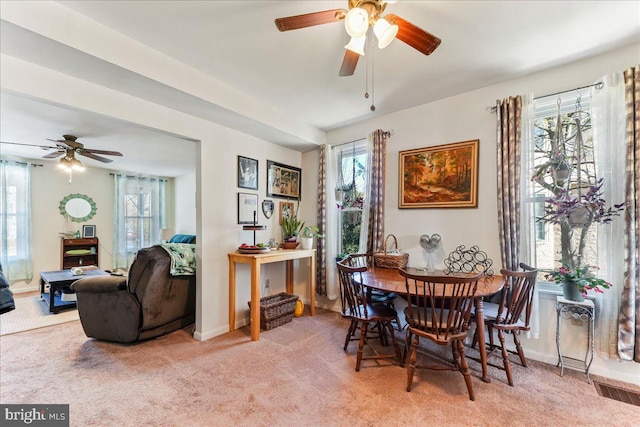 dining room with a healthy amount of sunlight, carpet, and baseboards