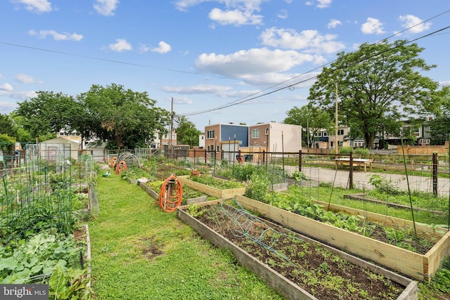 1707 D St SE, Washington, DC 20003 - view of yard with a vegetable garden