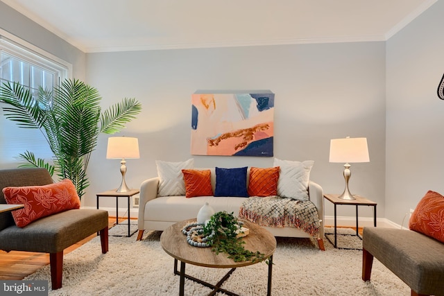 living area featuring baseboards and crown molding