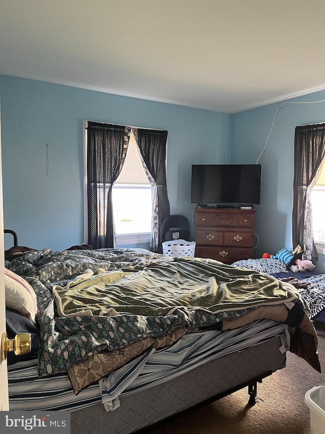 bedroom featuring carpet floors and multiple windows