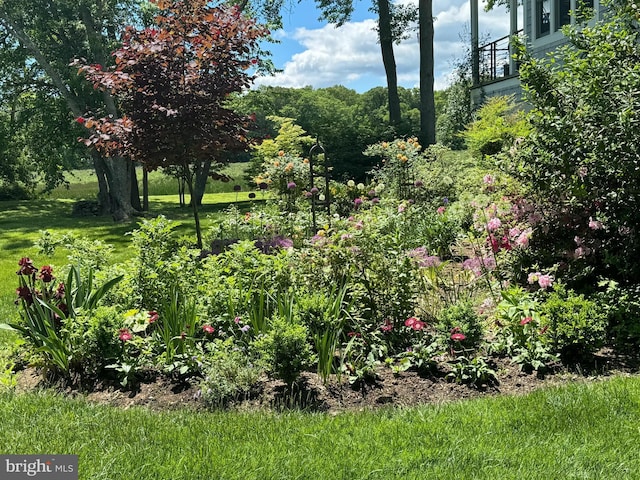 4873 Anchors Way, Galesville, MD 20765 - view of yard