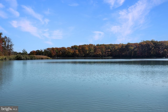 4873 Anchors Way, Galesville, MD 20765 - water view with a forest