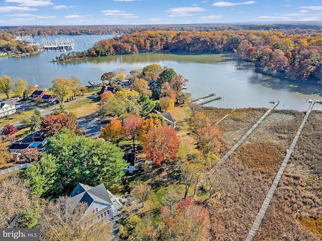 4873 Anchors Way, Galesville, MD 20765 - aerial view of a nearby body of water and a forest