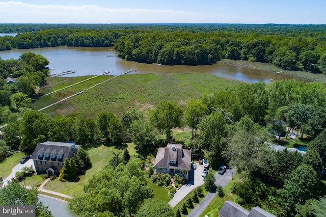 4873 Anchors Way, Galesville, MD 20765 - drone / aerial view of a forest and a large body of water