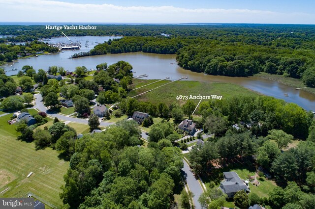 4873 Anchors Way, Galesville, MD 20765 - drone / aerial view of a forest and a nearby body of water