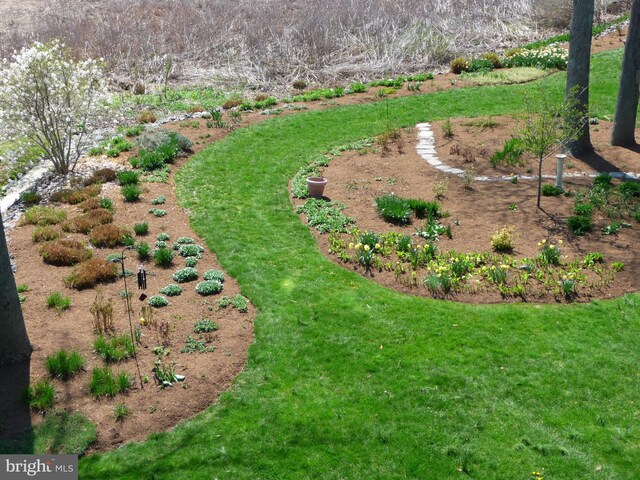 4873 Anchors Way, Galesville, MD 20765 - view of yard