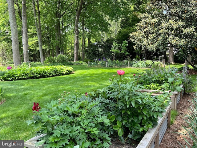 4873 Anchors Way, Galesville, MD 20765 - view of grassy yard with a garden
