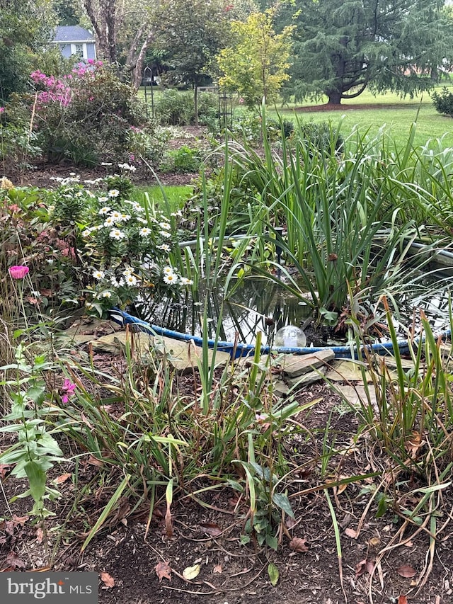 4873 Anchors Way, Galesville, MD 20765 - view of local wilderness