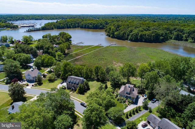4873 Anchors Way, Galesville, MD 20765 - aerial view of a forest and a nearby body of water