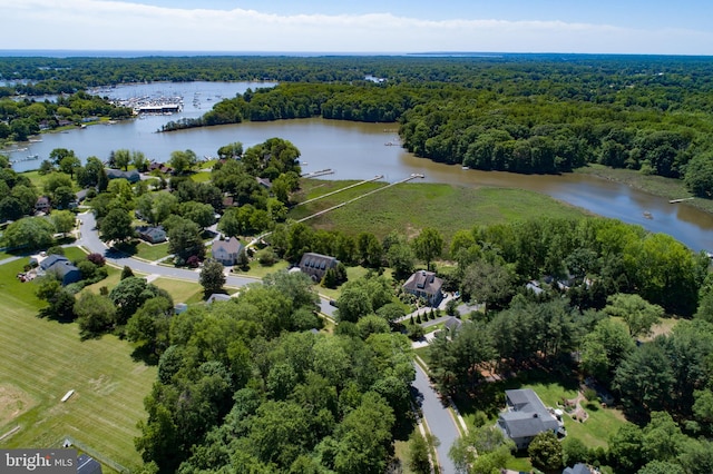 4873 Anchors Way, Galesville, MD 20765 - drone / aerial view of a forest and a nearby body of water
