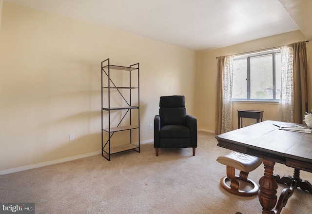 sitting room with baseboards and carpet