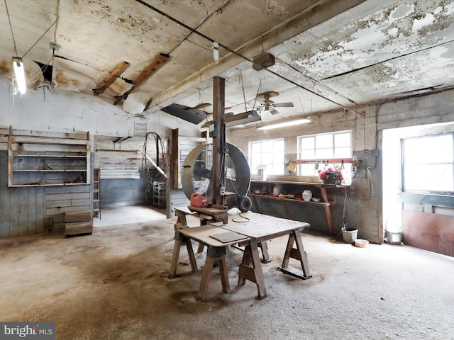 basement featuring ceiling fan