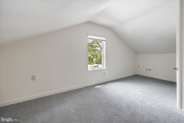 additional living space featuring lofted ceiling, carpet, visible vents, and baseboards