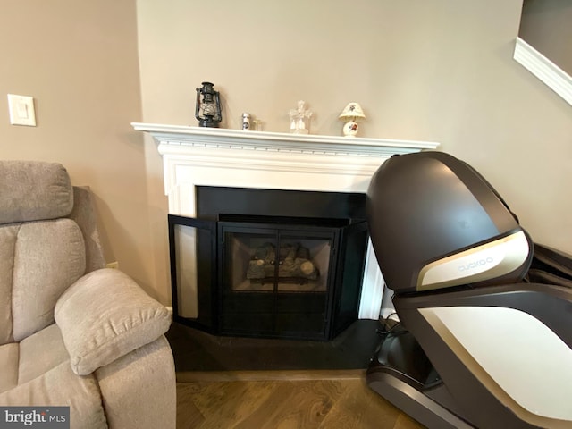 room details featuring a fireplace and wood finished floors