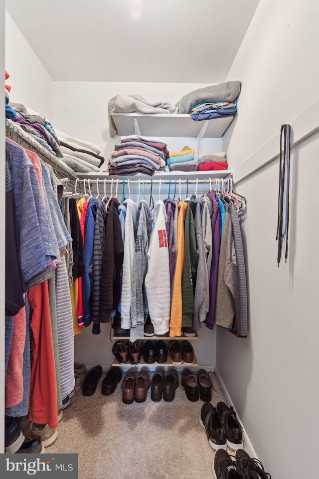 walk in closet featuring carpet