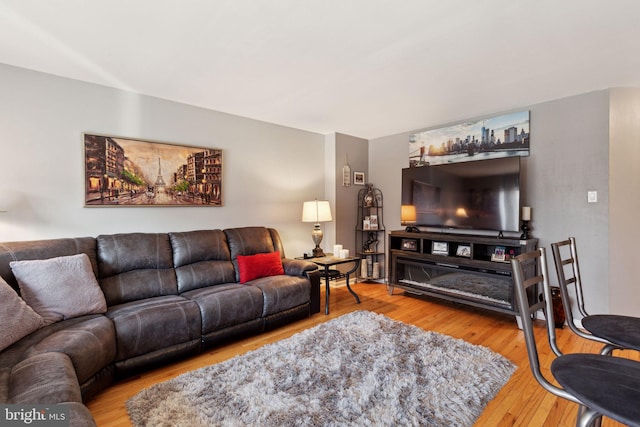 living room featuring wood finished floors