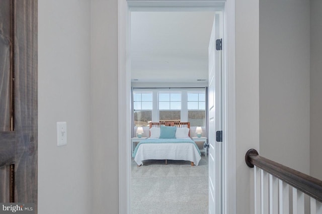 bedroom with carpet flooring