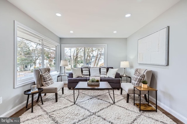 living room with baseboards, a wealth of natural light, and wood finished floors