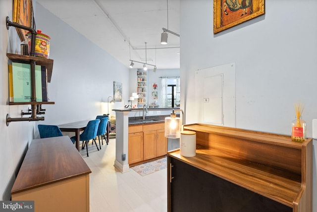 bar featuring light wood-style flooring, track lighting, and a sink