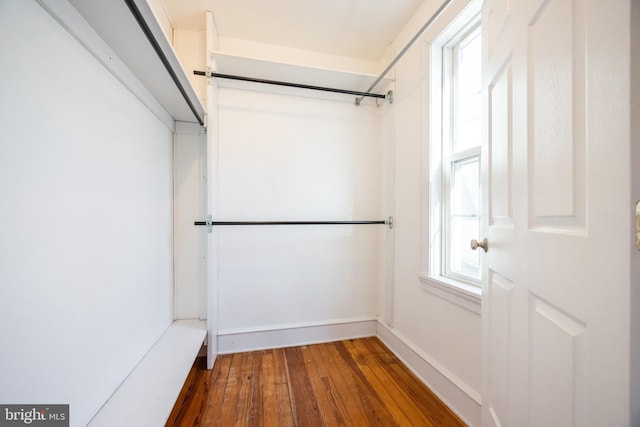 spacious closet with hardwood / wood-style flooring