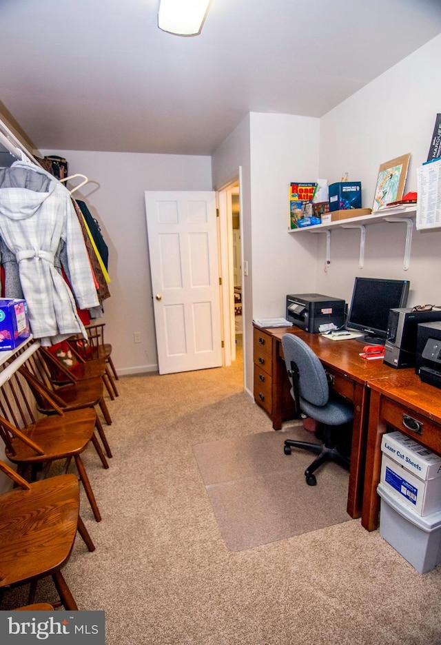 office featuring carpet flooring