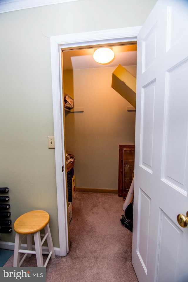 spacious closet with carpet floors