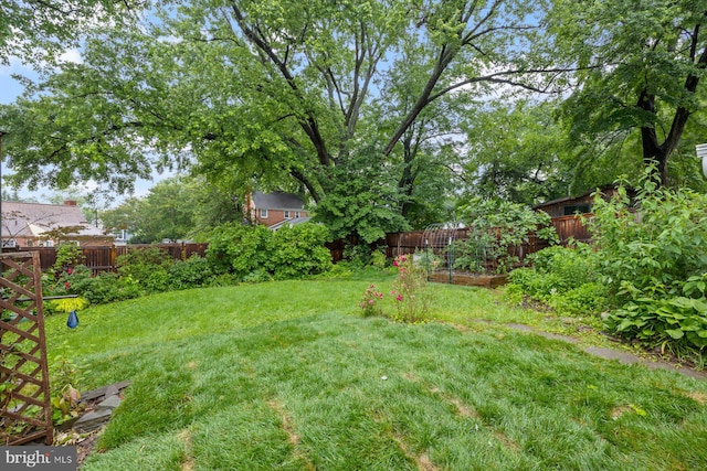 10402 Hayes Ave, Silver Spring, MD 20902 - view of yard featuring a vegetable garden