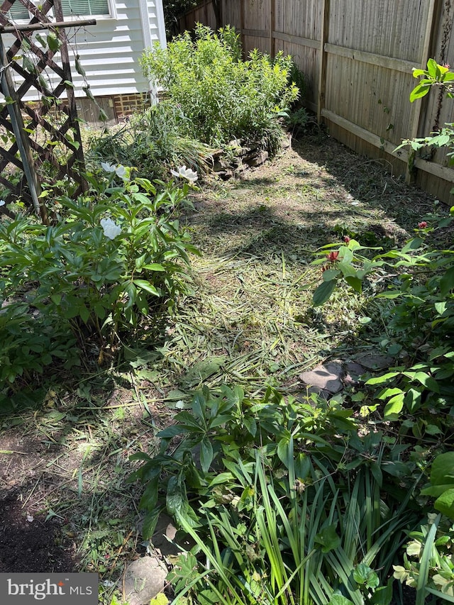 10402 Hayes Ave, Silver Spring, MD 20902 - view of yard