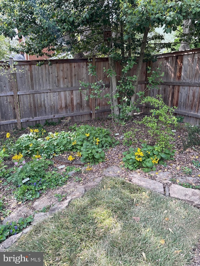 10402 Hayes Ave, Silver Spring, MD 20902 - view of yard