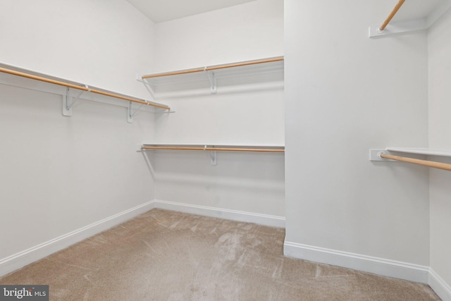 114 Cloak Ln, Lake Frederick, VA 22630 - spacious closet featuring carpet