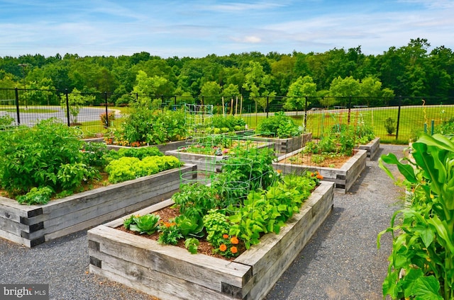 114 Cloak Ln, Lake Frederick, VA 22630 - view of property's community with a vegetable garden