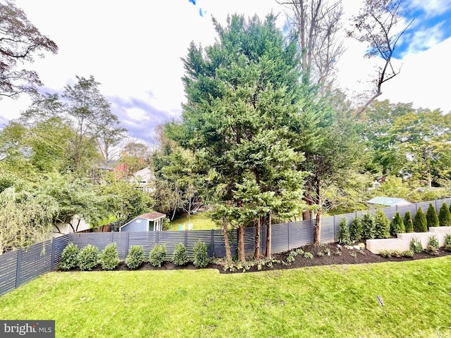 view of yard featuring a fenced backyard