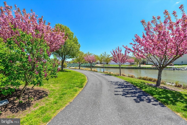 view of road featuring a water view