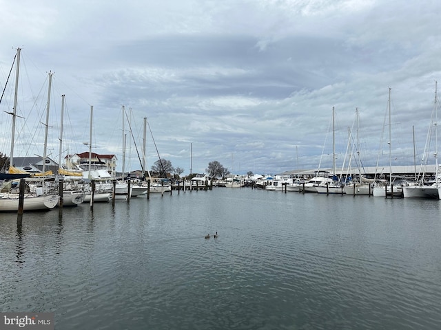 water view featuring a dock