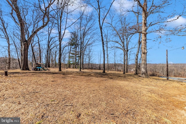 view of yard with a playground