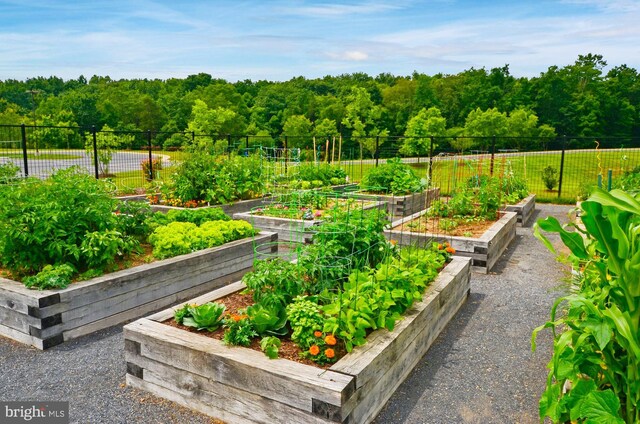 view of property's community with fence and a vegetable garden