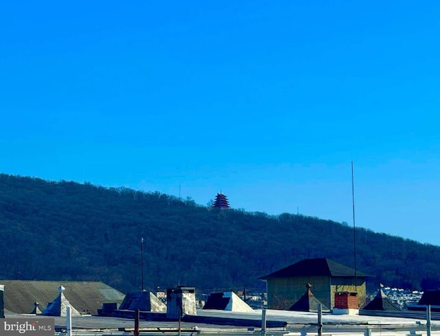 property view of water with a forest view