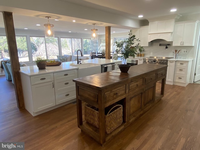 kitchen featuring stainless steel dishwasher, white cabinetry, dark wood-type flooring, and a sink