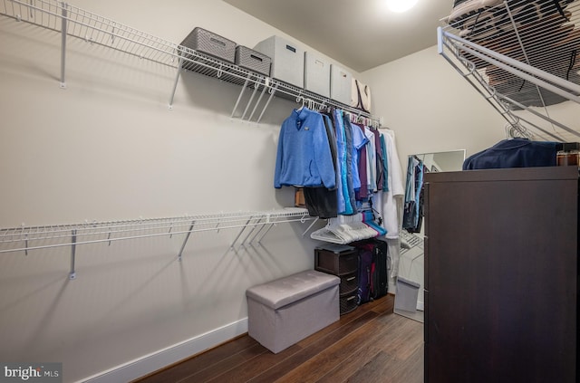 spacious closet with dark wood-style flooring