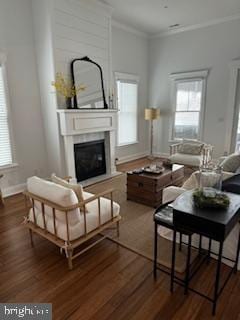 living room with crown molding, wood finished floors, and a large fireplace