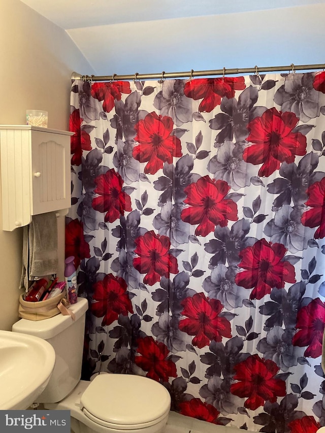 bathroom featuring lofted ceiling, curtained shower, and toilet