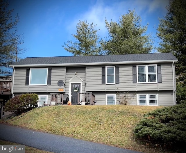 raised ranch featuring a shingled roof and a front yard