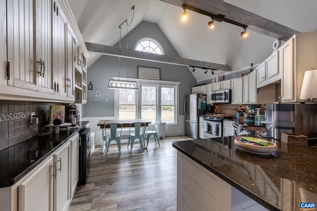 kitchen featuring lofted ceiling, stainless steel appliances, light wood finished floors, and plenty of natural light