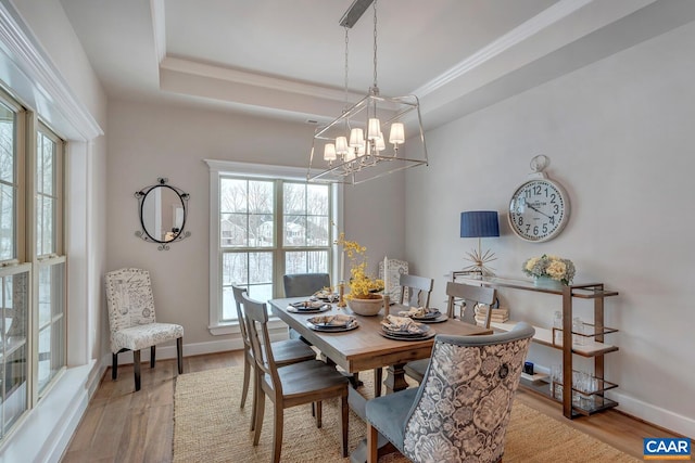 dining space featuring a raised ceiling, crown molding, baseboards, and wood finished floors