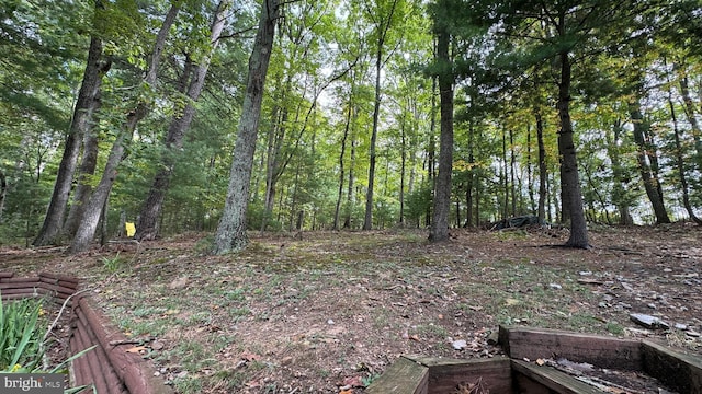 view of yard featuring a forest view