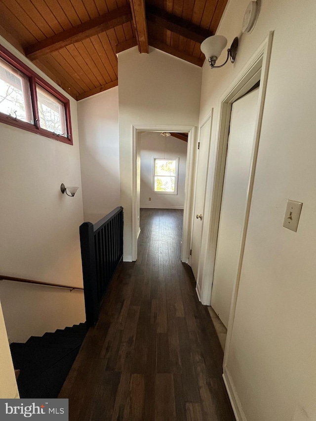 corridor with lofted ceiling with beams, dark wood-style flooring, and wooden ceiling