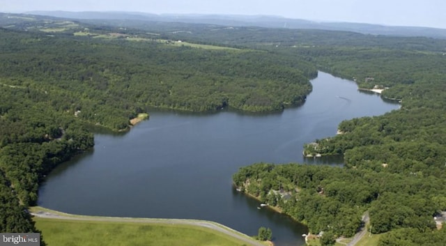 drone / aerial view featuring a water view and a forest view