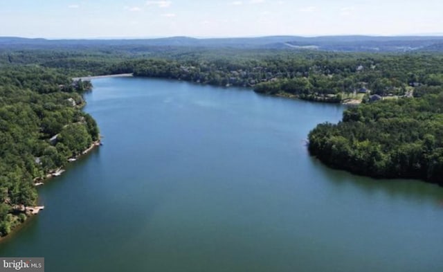 aerial view with a water view and a wooded view