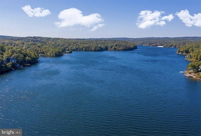 water view with a forest view